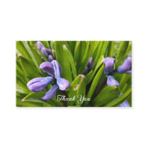 Tarjeta de envoltorio Purple Hyacinths Begning