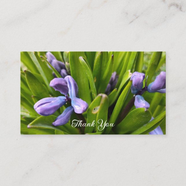 Tarjeta de envoltorio Purple Hyacinths Begning (Anverso)
