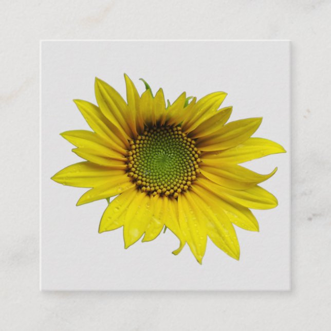 Tarjeta de envoltura para girasol solo de 2,5" x 2 (Anverso)