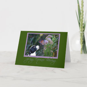 Tarjeta de Equinoccio de Primavera Mariposa y Cach