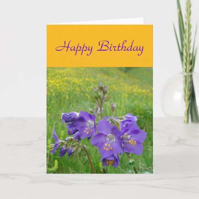 Tarjeta de escalera de Jacob (Anverso)