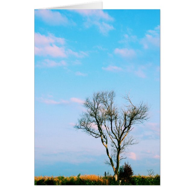 Tarjeta de escritura Be Not Barren (Frente)