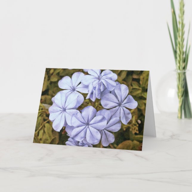 Tarjeta De Escritura De Guirnalda Geranium Salm 36 (Anverso)