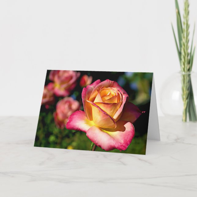 Tarjeta de escritura de Rosa de abrigo de Joseph I (Anverso)