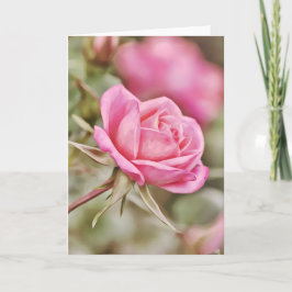 Tarjeta de escritura rosa oscuro 2 corintios 2:14