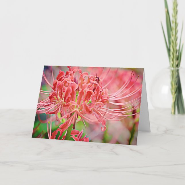 Tarjeta De Escritura Spider Lily Ecclesiastes 7:13 (Anverso)