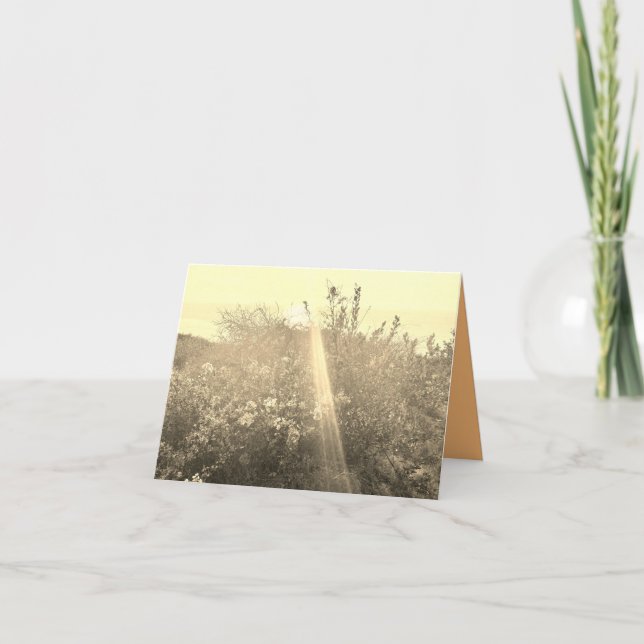 Tarjeta de esperanza (Anverso)