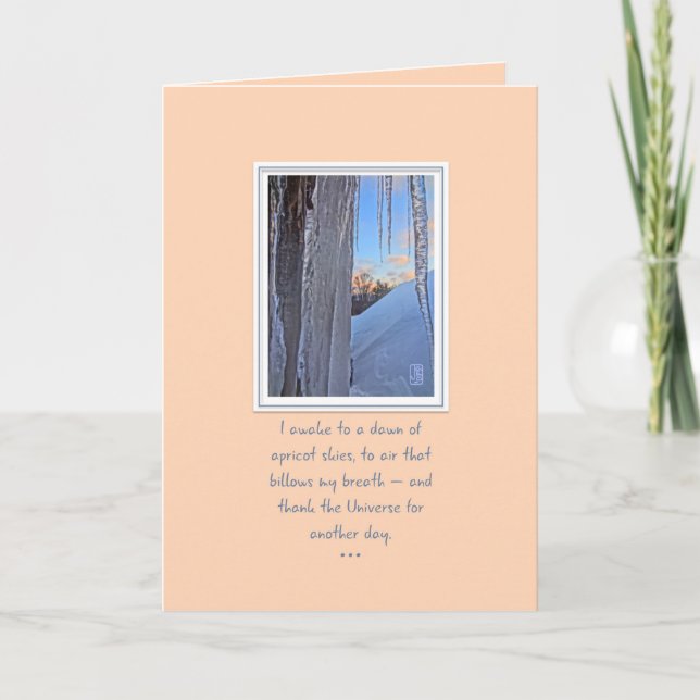 Tarjeta de esquí de bicicletas para el Apricot Sun (Anverso)