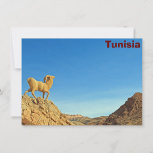Tarjeta de estatua de cabra de Túnez