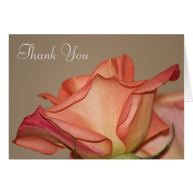 Tarjeta de estilo Peach Rosa (Anverso (Horizontal))