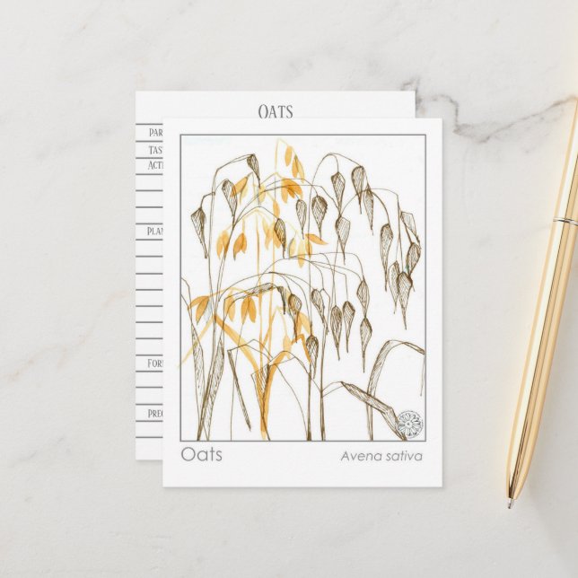 Tarjeta de estudio de hierbas aromáticas para la p (Anverso/Reverso In Situ)