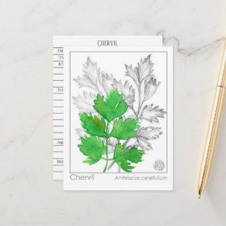 Tarjeta de estudio de hierbas Materia Medica Cherv
