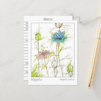 Tarjeta de estudio de hierbas medicinales Nigella 