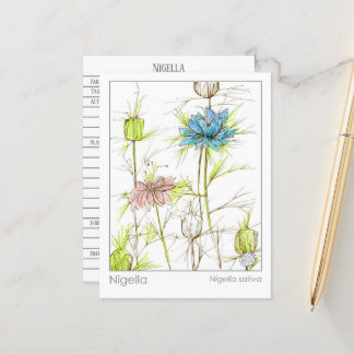 Tarjeta de estudio de hierbas medicinales Nigella