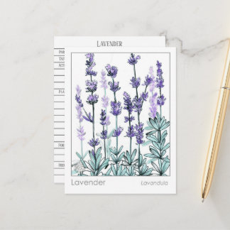 Tarjeta de estudio de hierbas para las flores de m