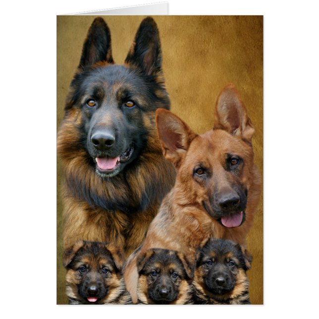 Tarjeta de familia Shepherd de Alemania (Frente)