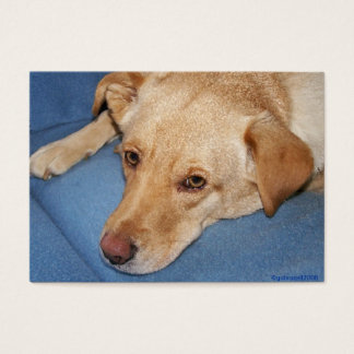 Tarjeta de Favor de Boda (Ejemplo)