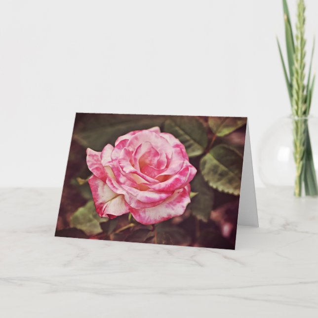 Tarjeta de fe de rosa rosa hermosa Salmo 102:26 (Anverso)