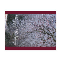 Tarjeta de Felices Fiestas