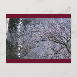 Tarjeta de Felices Fiestas