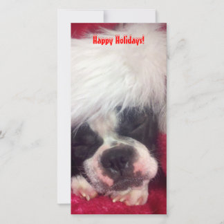 Tarjeta de Felices Fiestas con Boston Terrier