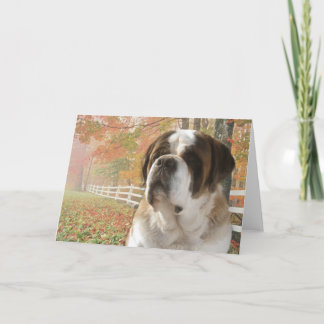 Tarjeta de felicitación