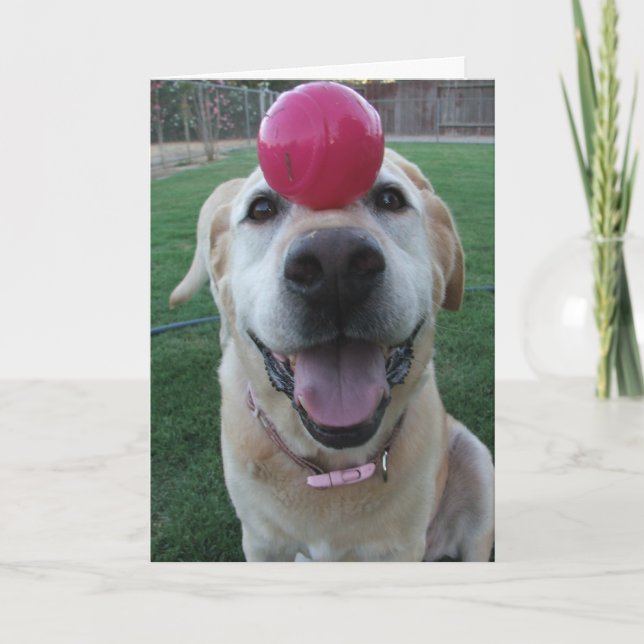 Tarjeta de felicitación (Anverso)