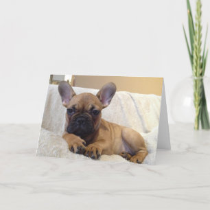 Tarjeta de felicitación