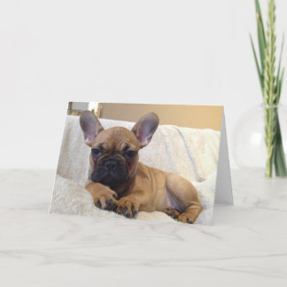 Tarjeta de felicitación