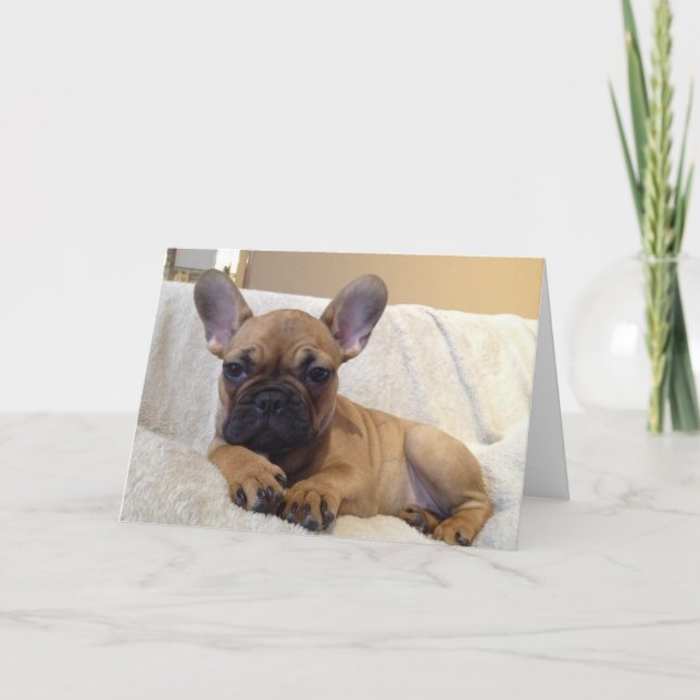 Tarjeta de felicitación (Anverso)