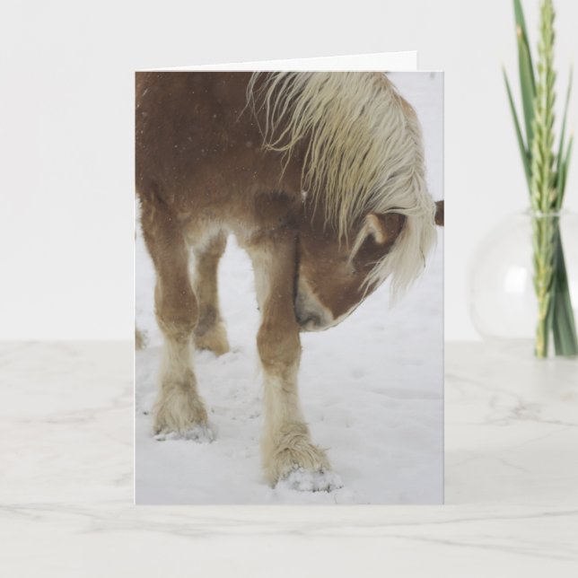 Tarjeta de felicitación (Anverso)