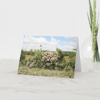 Tarjeta de felicitación