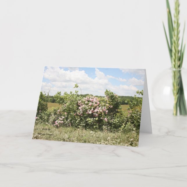 Tarjeta de felicitación (Anverso)