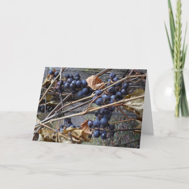 tarjeta de felicitación (Anverso)