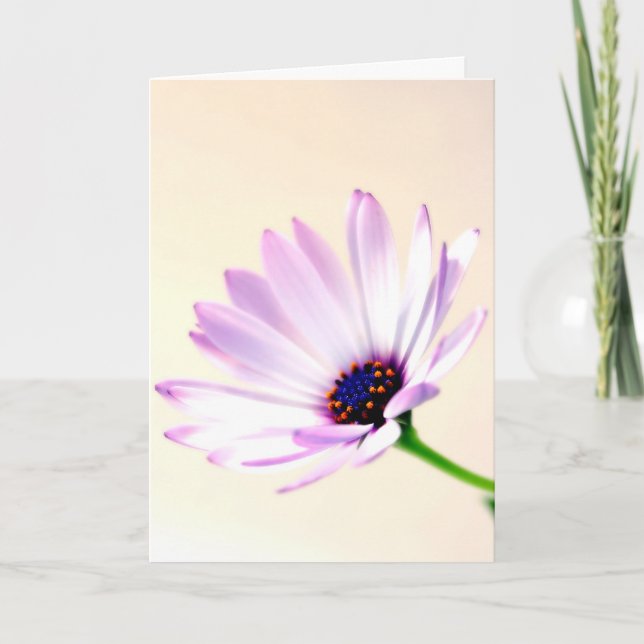 Tarjeta de felicitación (Anverso)