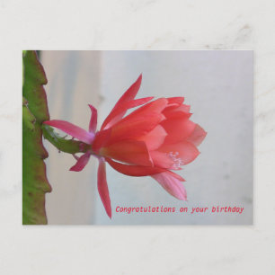 Tarjeta de felicitación