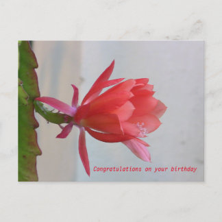 Tarjeta de felicitación
