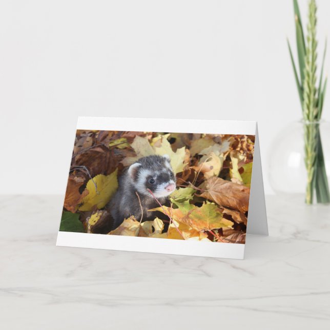 Tarjeta de felicitación (Anverso)