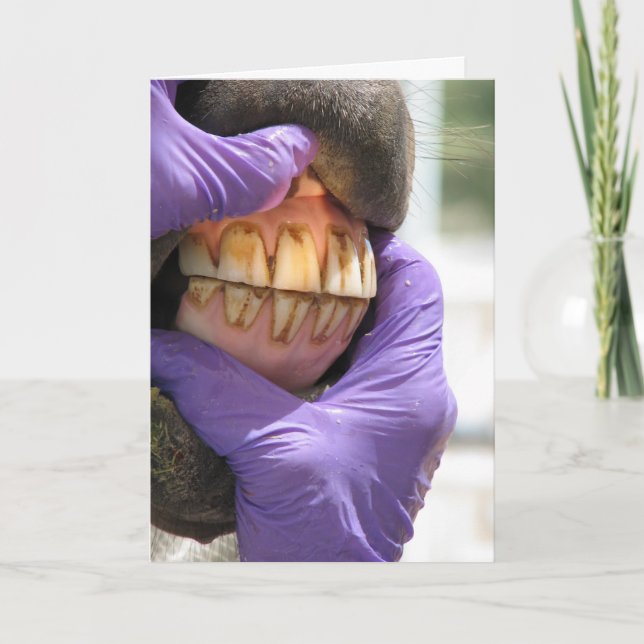 Tarjeta de felicitación (Anverso)