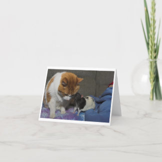 tarjeta de felicitación