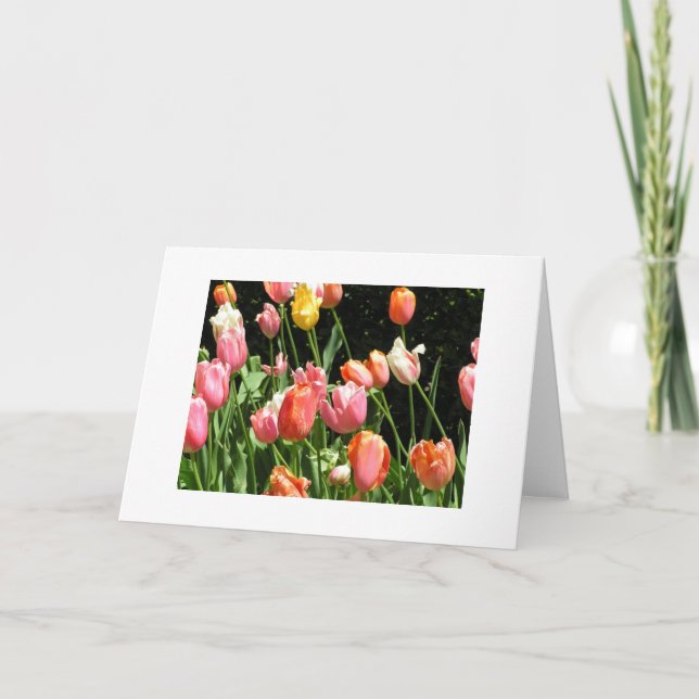 Tarjeta de felicitación (Anverso)