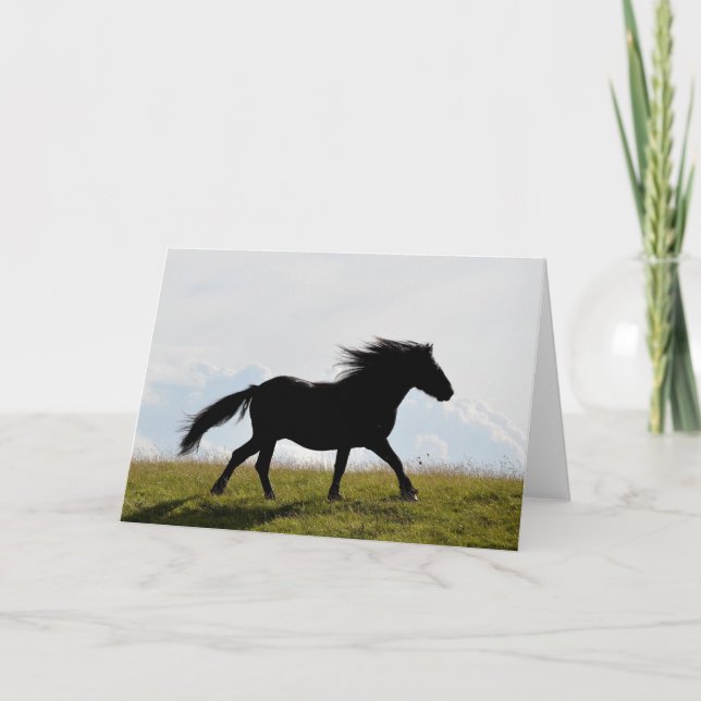 Tarjeta de felicitación a caballo (Anverso)