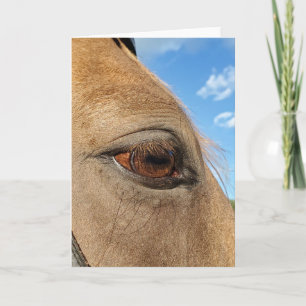 Tarjeta de felicitación a caballo