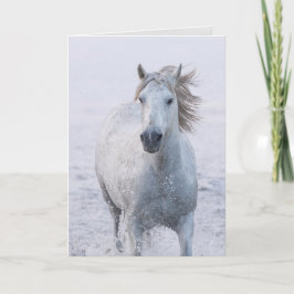 Tarjeta de felicitación a caballo - Caballo blanco