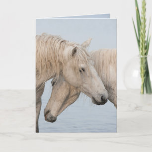 Tarjeta de felicitación a caballo - El poder de do