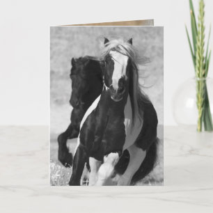 Tarjeta de felicitación a caballo frisón y gitano