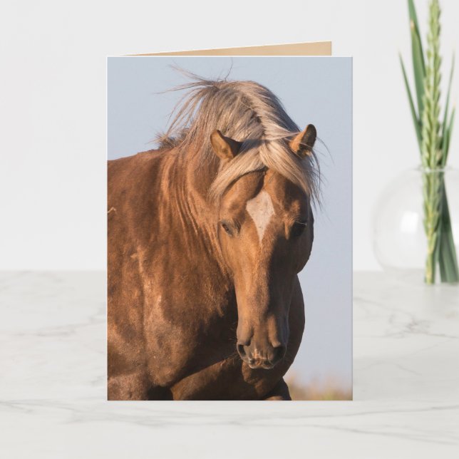 Tarjeta de felicitación a caballo salvaje del orgu (Anverso)