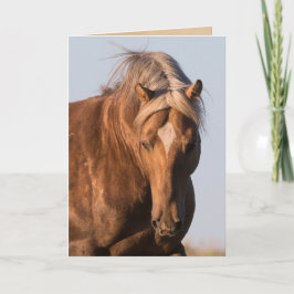 Tarjeta de felicitación a caballo salvaje del orgu