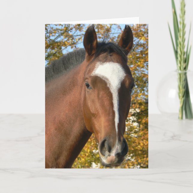 Tarjeta de felicitación a caballo trimestral (Anverso)