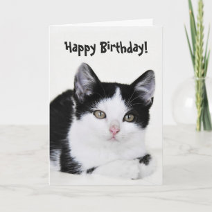 Tarjeta de felicitación a gatito blanco y negro